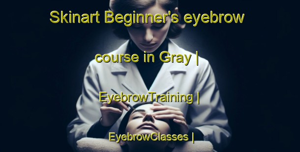 Skinart Beginner's eyebrow course in Gray | EyebrowTraining | EyebrowClasses | SkinartTraining-Canada